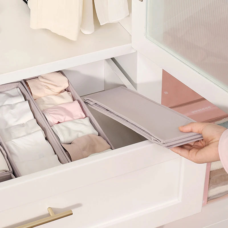 Foldable Underwear Organizer Cabinets